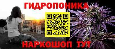 стаф Бердск
