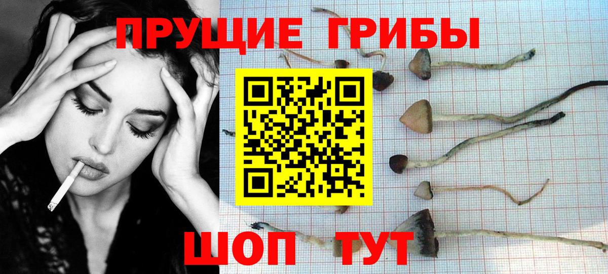 Избербаш  Галлюциногенные грибы Psilocybine cubensis  Вход с VPN  Псилоцибиновые грибы Magic Shrooms 